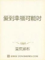 《爱到幸福可能时》小说封面