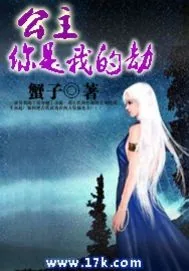 《公主,你是我的劫》小说封面