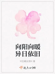《向阳向暖异日依旧》小说封面