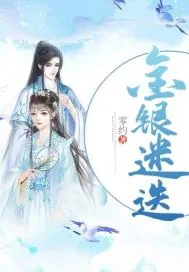 《金银迷迭》小说封面