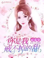《霍先生，你是我戒不掉的甜》小说封面