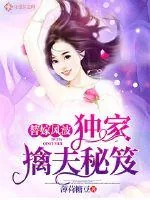 《替嫁风波:独家擒夫秘笈》小说封面