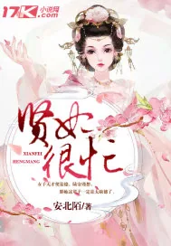 《贤妃很忙》小说封面