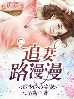 《霍少的心尖宠：追妻路漫漫》小说封面