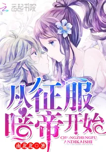 《从征服暗帝开始》小说封面
