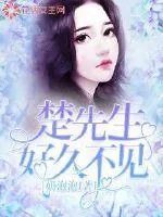《楚先生好久不见》小说封面