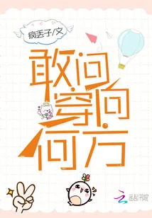 《敢问穿向何方》小说封面