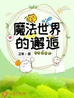 《魔法世界的邂逅》小说封面