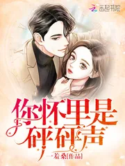《你怀里是砰砰声》小说封面