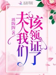 《夫人我们该领证了》小说封面