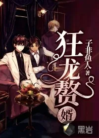 《狂龙赘婿》小说封面