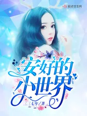 《安好的小世界》小说封面