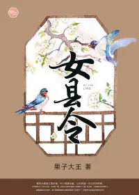 《女县令》小说封面