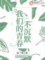 《我们的青春不沉默》小说封面