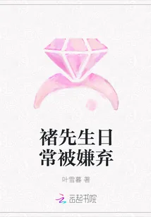 《褚先生日常被嫌弃》小说封面