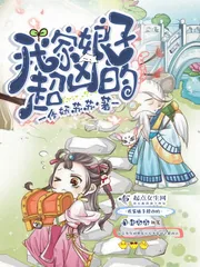 《我家娘子超凶的》小说封面
