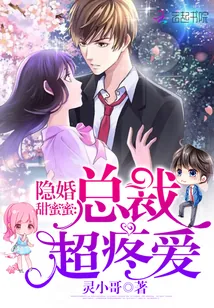 《隐婚甜蜜蜜:总裁,超疼爱》小说封面