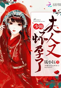 《少帅,夫人又怀孕了》小说封面