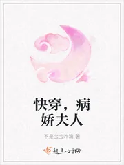 《快穿，病娇夫人》小说封面