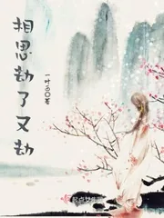 《相思劫了又劫》小说封面