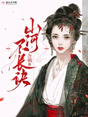 《山河不长诀》小说封面
