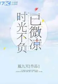 《时光不负已微凉》小说封面