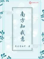 《南方知我意》小说封面