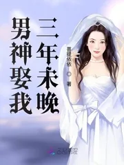 《男神娶我三年未晚》小说封面