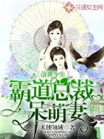 《前世今生:霸道总裁呆萌妻》小说封面