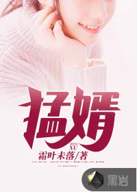 《猛婿》小说封面