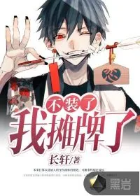 《不装了,我摊牌了》小说封面
