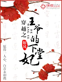 《穿越之王爷的下堂妃》小说封面