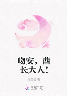 《吻安，酋长大人！》小说封面