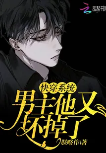 《快穿系统:男主他又坏掉了》小说封面