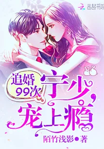 《追婚99次:宁少,宠上瘾》小说封面