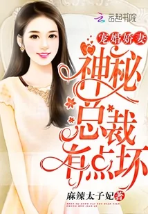 《宠婚娇妻：神秘总裁有点坏》小说封面