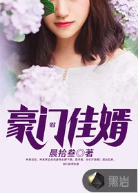 《豪门佳婿》小说封面