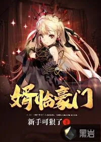 《婿临豪门》小说封面