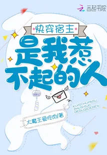 《快穿宿主是我惹不起的人》小说封面