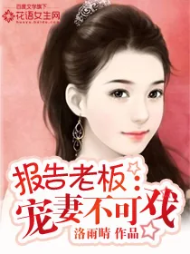 《报告老板:宠妻不可戏》小说封面