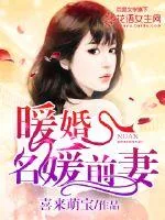 《暖婚,名媛前妻》小说封面