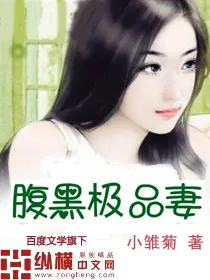 《腹黑极品妻》小说封面