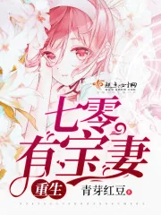 《重生七零有宝妻》小说封面