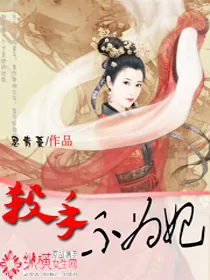 《杀手不为妃》小说封面