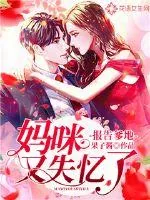 《报告爹地:妈咪又失忆了》小说封面