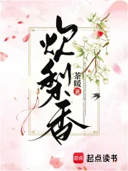 《炊梨香》小说封面
