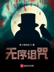 《无序诅咒》小说封面