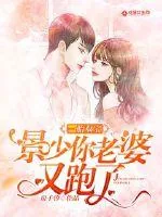 《一胎双宝:景少你老婆又跑了》小说封面