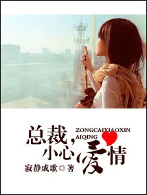 《总裁,小心爱情》小说封面