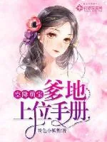 《空降萌宝:爹地上位手册》小说封面